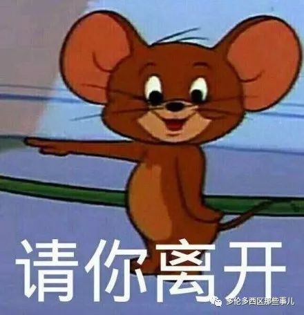 安省老鼠横行多伦多荣居榜首密西沙加第三我大奥村竟然排在...