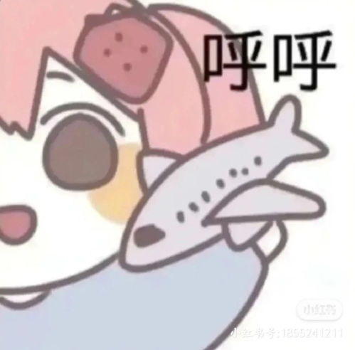 今天没更新腾讯新闻