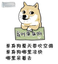 有趣表情包我凭实力叫单身狗,有些话有必要说一说