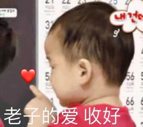 开局一套房,装备全靠消