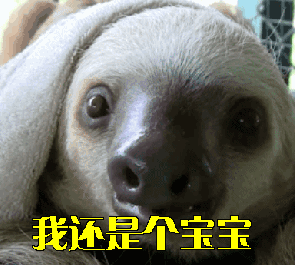 表情包表情动态疫情