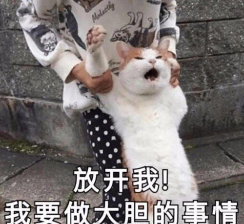 豹式无语