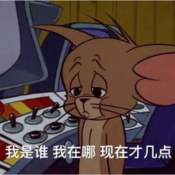 第一批90后还有两周就30岁了,这才发现猫和老鼠里净是扎心的表情包