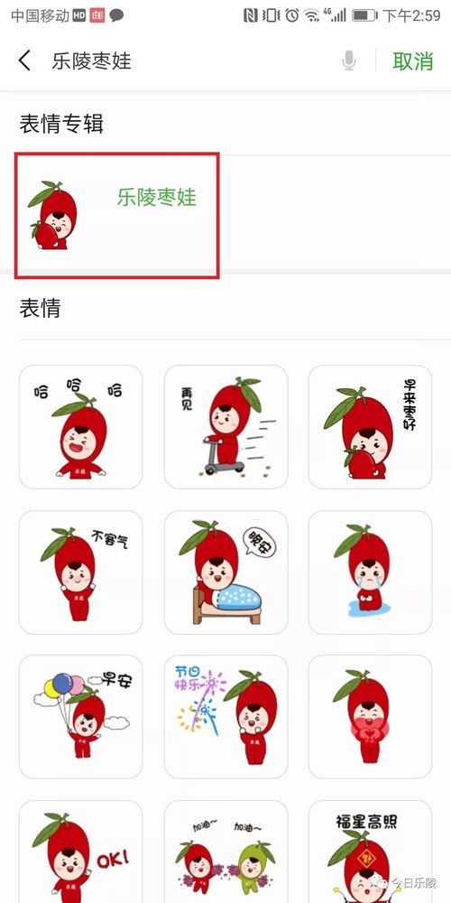 乐陵人自己的表情包上线啦哈哈哈