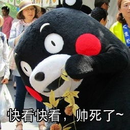 女生看男生打球时熊本熊表情包