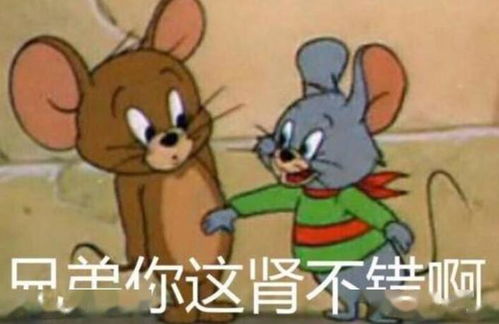 猿视角留学生归国入学带专果然带专人带专魂