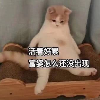 听说这一届年轻人,不想谈恋爱