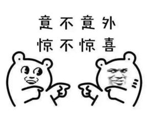 2017上半年十大网络热词,你怼上了吗