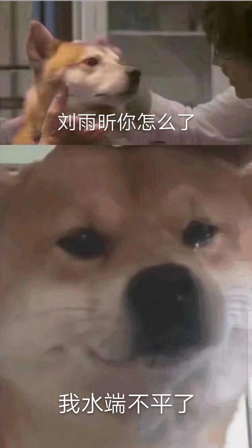 恐怖微信表情包红包
