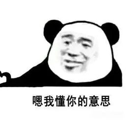 抖音表情包你懂我的意思吧