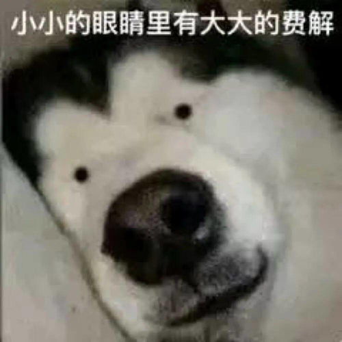 怕老婆不上班能力有限...公司名可以多奇葩