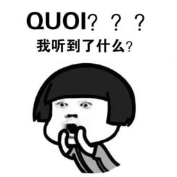 法语生斗图专用表情包第三弹