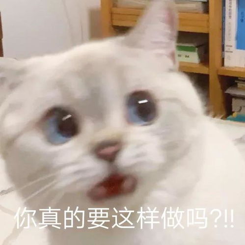 搞笑表情包那又怎么样