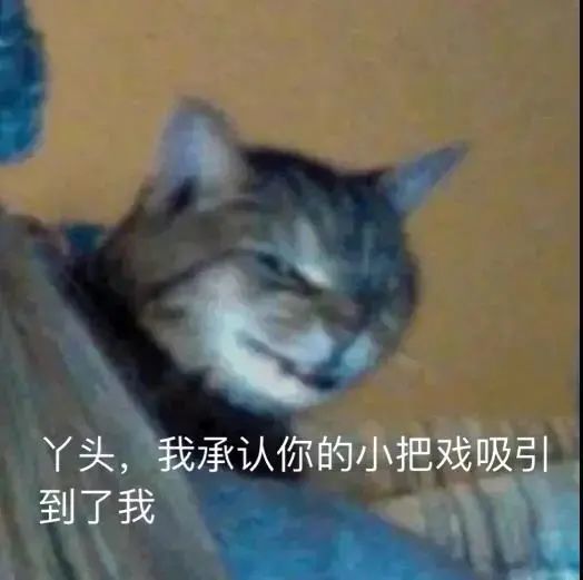 沙雕幽默表情包我是国家一级保护废物