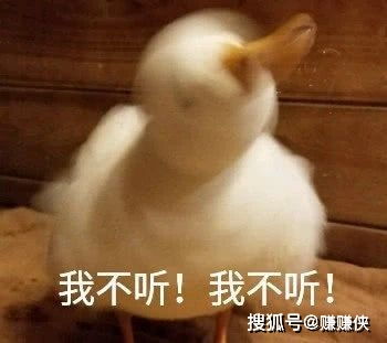 搞笑表情包图片污,想想就不自觉的咧开了嘴