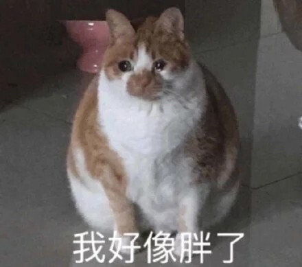 沙雕文案快来康康