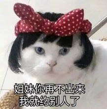 五一约姐妹表情包出来喝奶茶啊,你请