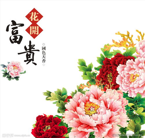 花开富贵设计图