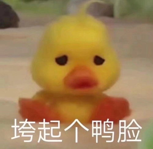想问问各位姐妹怎么判断自己真实的肤...