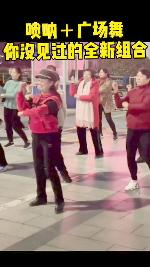 大叔带广场舞大妈蹦唢呐迪这样的广场舞你们也想蹦起来吗