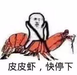 脑子线团表情包幽默笑话