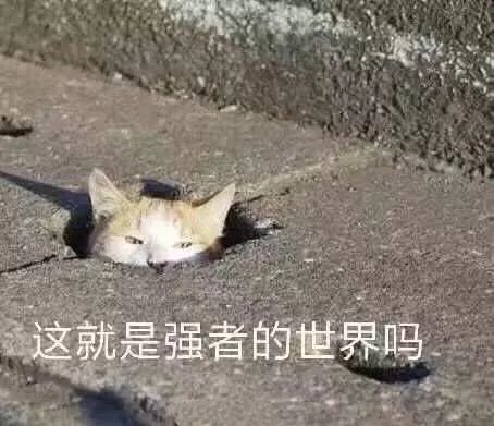 高考志愿填报完,这6件事一定要注意