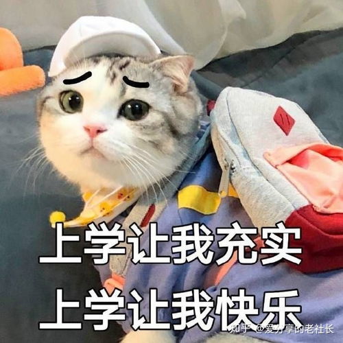 高中地理气候专题各大洲气候成因的87问一秒解决高考主观题