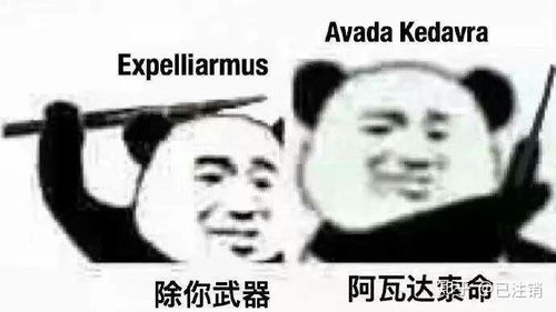 当刘谦和哈利波特相遇会发生什么故事