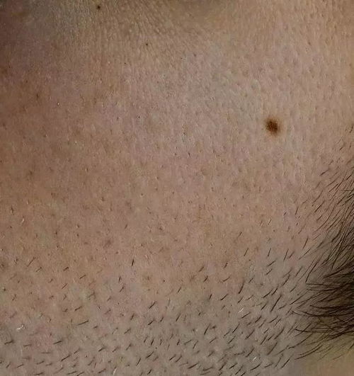 三十多岁的他用油画画出了摄影照片的效果,震惊无数人