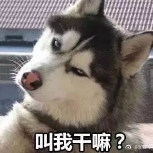 小学生写不出我的缤纷世界作文急哭天天学习哪有缤纷世界