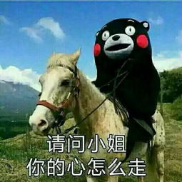 现在的男性是否普遍不再对女性展开追求了为什么