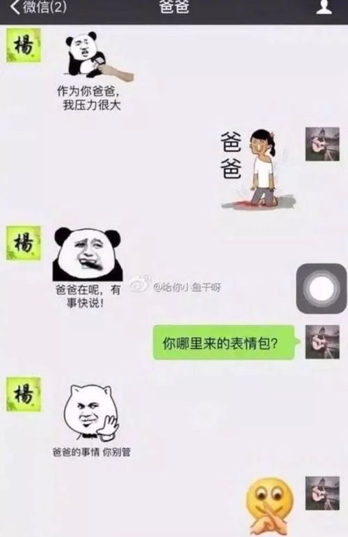 妈你这么逗比我还怎么找对象