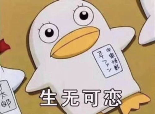 收藏夹