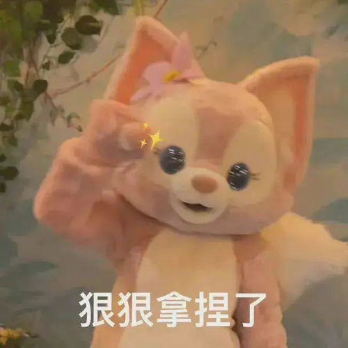 顶着热巴冰冰碧婷的硬件出道她在内娱刚红花期就没了