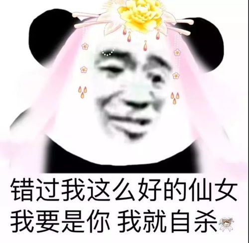 熊猫头表情包i我该硬什么来见你