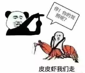 我他么心态崩了呀表情包公摊面积