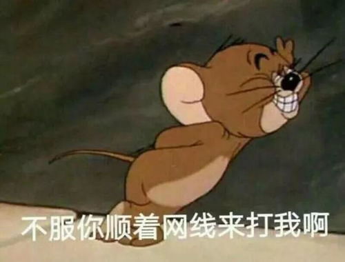 白宫从天而降一只老鼠这下可把记者忙坏了