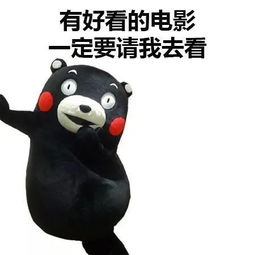 您的新年正式上线