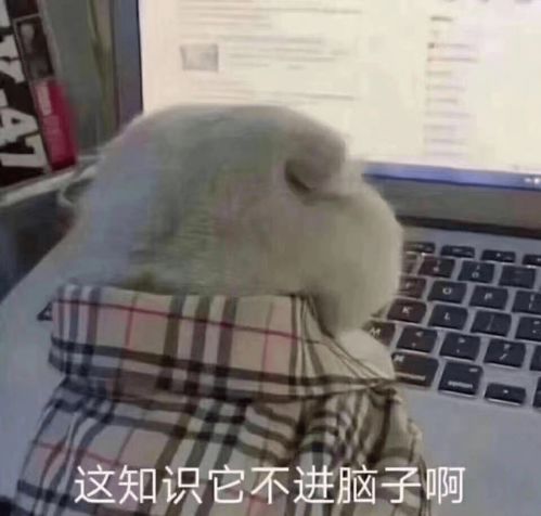 期末嘛,不就是一人一笔一晚一奇迹