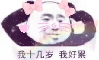今日热门表情包想不想做大哥的女人
