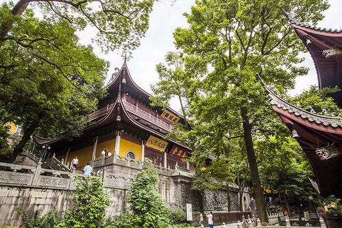 杭州旅行必打卡景点之一,藏在西湖群山中,门票70元还很多人去