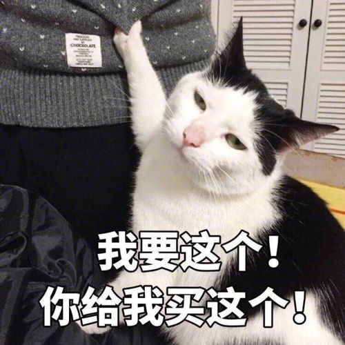 沙雕早上好表情包
