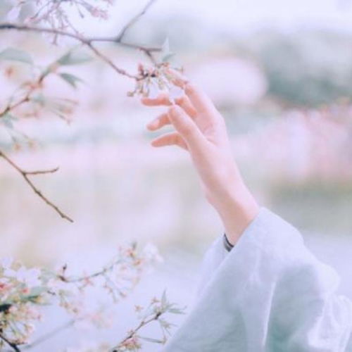 唯美图片我要个性网