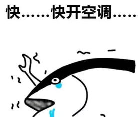 六月不清洗,天热徒伤悲...