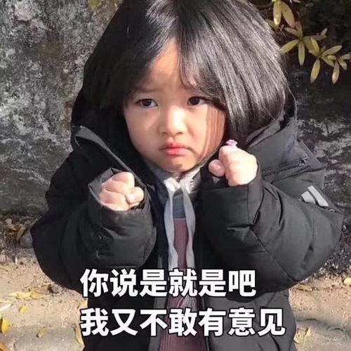 从今天起每逢双号就是和托尼老师约会的日子