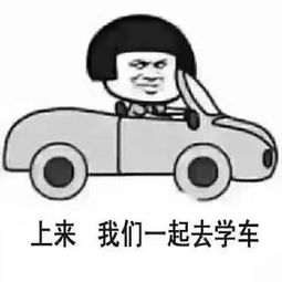 别生气表情包可爱学车