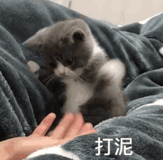 表情包可爱的斗图