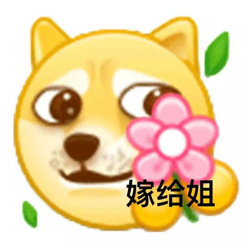小黄脸表情包五
