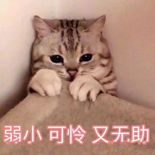 家里的甲醛挥发至少要3年,而除甲醛的方法7成都没用