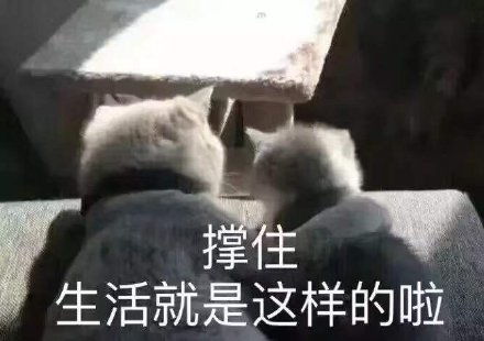 非主流表情包搞笑文案